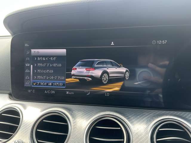 メルセデスベンツ Ｅクラスオールテレイン Ｅ２２０Ｄ ４マチック ディーゼルターボ ４ＷＤ H30年 (関東) 99