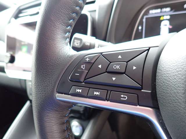 日産 リーフ Ｘ　Ｖセレクション R4年 (関東) 99