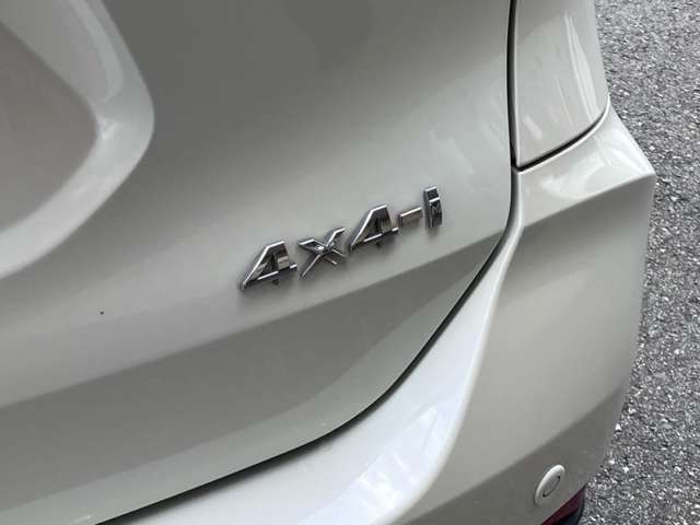 日産 エクストレイル ２．０ ２０ＸＩ ２列車 ４ＷＤ R1年 (九州・沖縄) 99