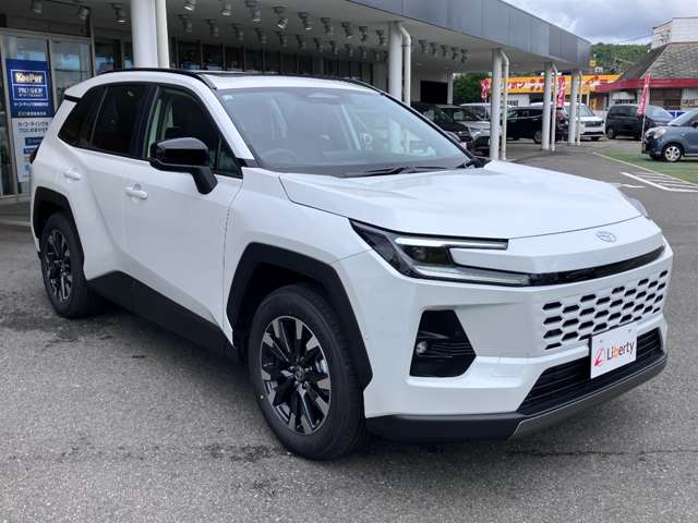 トヨタ ＲＡＶ４ ２．５ Ｚ Ｅ－ＦＯＵＲ ４ＷＤ R8年 (九州・沖縄) 99