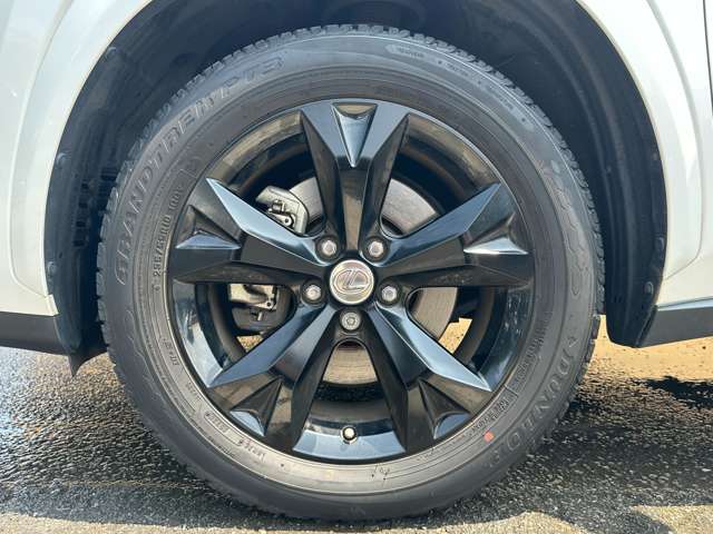 レクサス ＮＸ２００ｔ アーバンスタイル H29年 (関東) 99