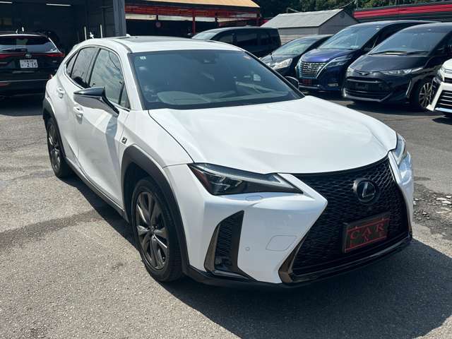 レクサス ＵＸ２００ Ｆスポーツ H30年 (関東) 99