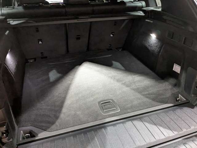 ＢＭＷ Ｘ５ Ｘドライブ ３５Ｄ Ｍスポーツ ４ＷＤ R2年 (関東) 99