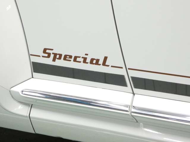 フォルクスワーゲン ザ　ビートル スペシャル バグ H26年 (関東) 99