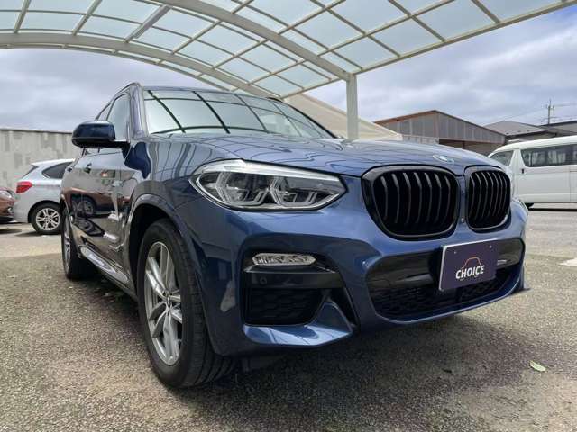 ＢＭＷ Ｘ３ Ｘドライブ２０Ｄ Ｍスポーツ ディーゼルターボ ４ＷＤ H30年 (関東) 99
