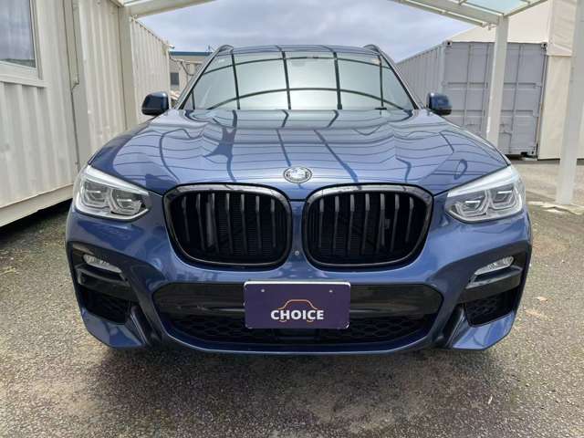 ＢＭＷ Ｘ３ Ｘドライブ２０Ｄ Ｍスポーツ ディーゼルターボ ４ＷＤ H30年 (関東) 99