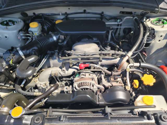 スバル フォレスター ２．０ Ｌ．Ｌ．ＢＥＡＮ エディション ４ＷＤ H17年 (関東) 99