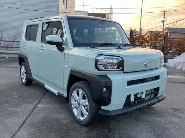 ダイハツ タフト ６６０ Ｇ ４ＷＤ R6年 (北海道) 99
