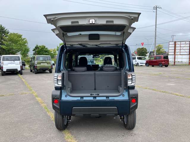 ダイハツ タフト ６６０ Ｇ ４ＷＤ R6年 (北海道) 99