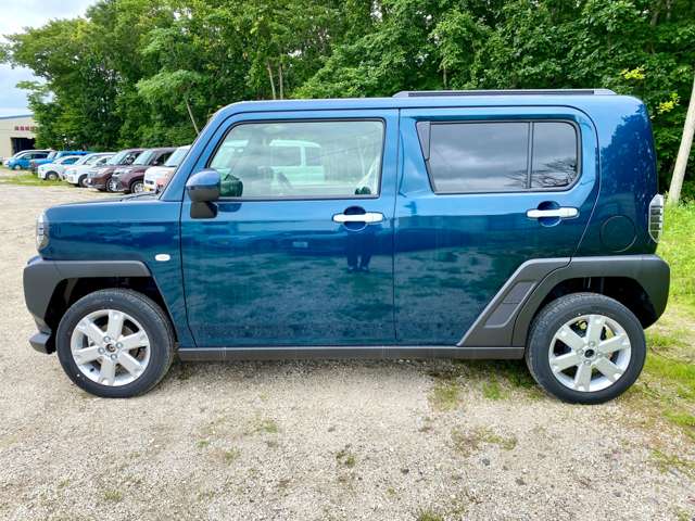 ダイハツ タフト ６６０ Ｇ ４ＷＤ R7年 (北海道) 99