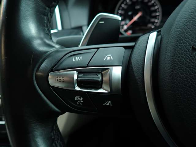 ＢＭＷ ５シリーズ ５２３ｉ　グレースライン H28年 (九州・沖縄) 99