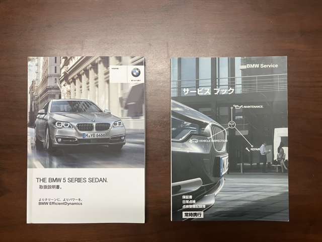 ＢＭＷ ５シリーズ ５２３ｉ　グレースライン H28年 (九州・沖縄) 99