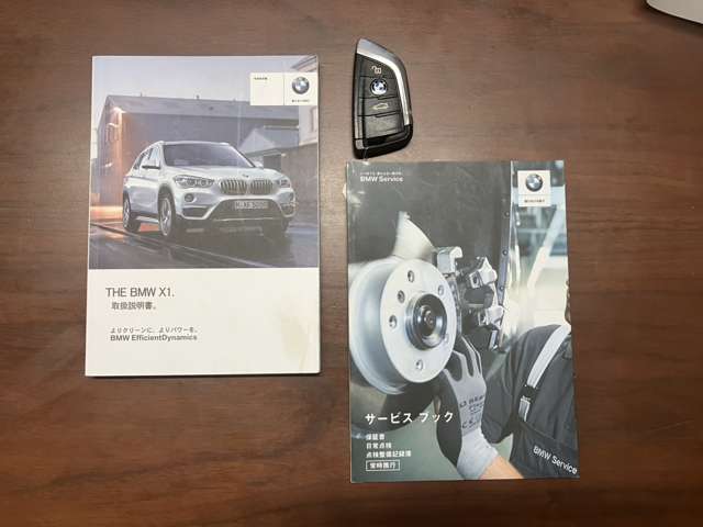 ＢＭＷ Ｘ１ Ｘドライブ ２０Ｉ Ｍスポーツ ４ＷＤ H29年 (九州・沖縄) 99