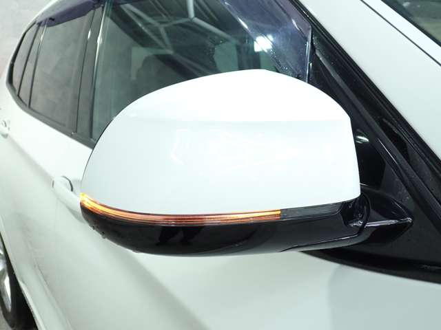 ＢＭＷ Ｘ３ Ｘドライブ２０Ｄ Ｍスポーツ ディーゼルターボ ４ＷＤ H28年 (九州・沖縄) 99