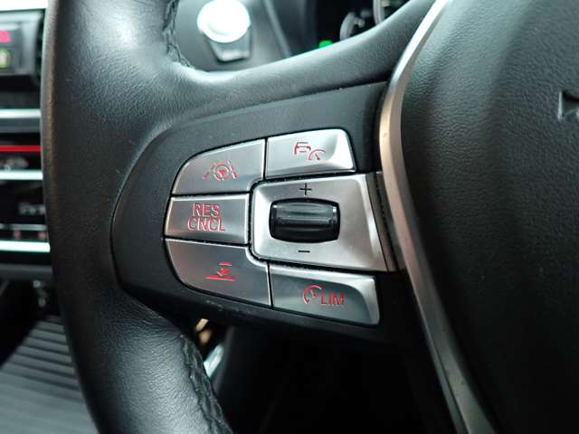 ＢＭＷ Ｘ３ Ｘドライブ２０Ｉ Ｘライン ４ＷＤ H30年 (九州・沖縄) 99