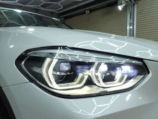 ＢＭＷ Ｘ３ Ｘドライブ２０Ｉ Ｘライン ４ＷＤ H30年 (九州・沖縄) 99