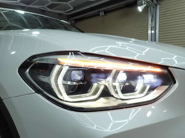 ＢＭＷ Ｘ３ Ｘドライブ２０Ｉ Ｘライン ４ＷＤ H30年 (九州・沖縄) 99
