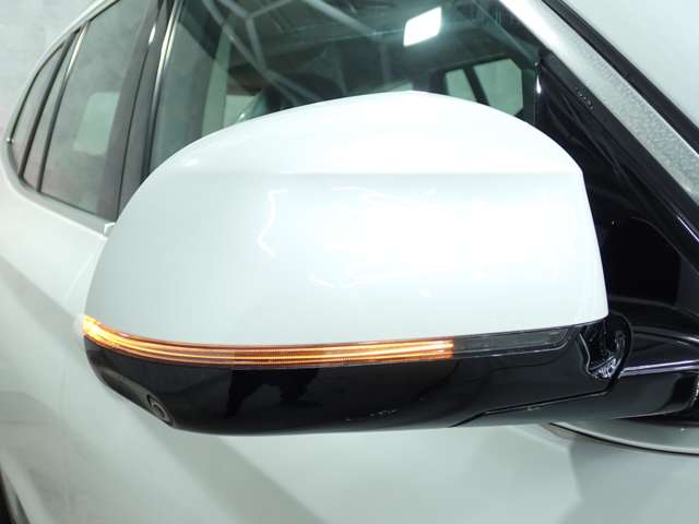 ＢＭＷ Ｘ３ Ｘドライブ２０Ｉ Ｘライン ４ＷＤ H30年 (九州・沖縄) 99