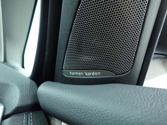 ＢＭＷ ２シリーズグランツアラー ２１８Ｉ ラグジュアリー ＤＣＴ H30年 (九州・沖縄) 99