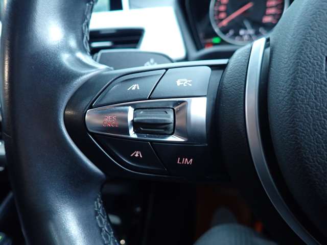 ＢＭＷ Ｘ１ Ｘドライブ １８Ｄ Ｍスポーツ ４ＷＤ H29年 (九州・沖縄) 99