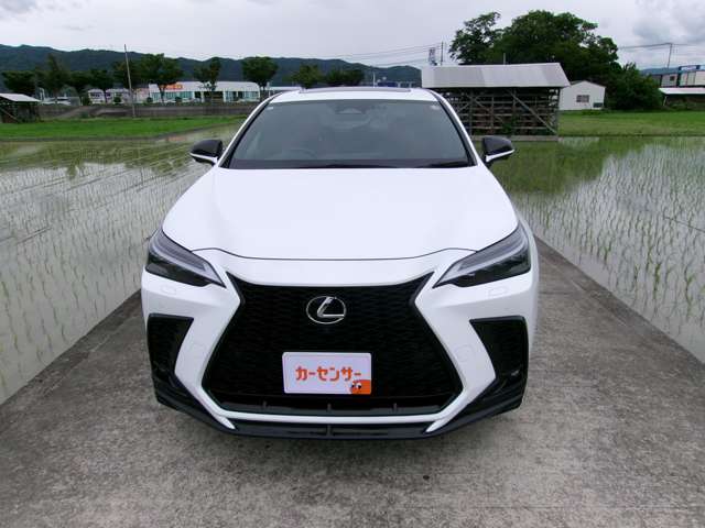レクサス ＮＸ３５０ｈ Ｆスポーツ R6年 (近畿) 99
