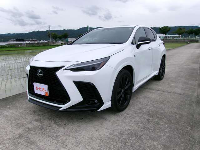 レクサス ＮＸ３５０ｈ Ｆスポーツ R6年 (近畿) 99