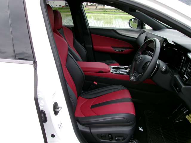 レクサス ＮＸ３５０ｈ Ｆスポーツ R6年 (近畿) 99