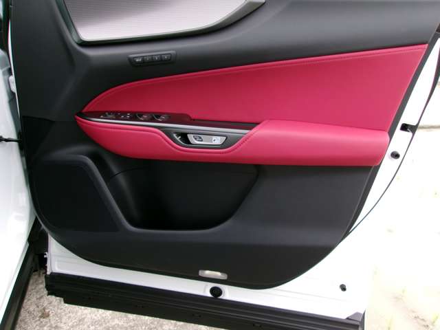 レクサス ＮＸ３５０ｈ Ｆスポーツ R6年 (近畿) 99