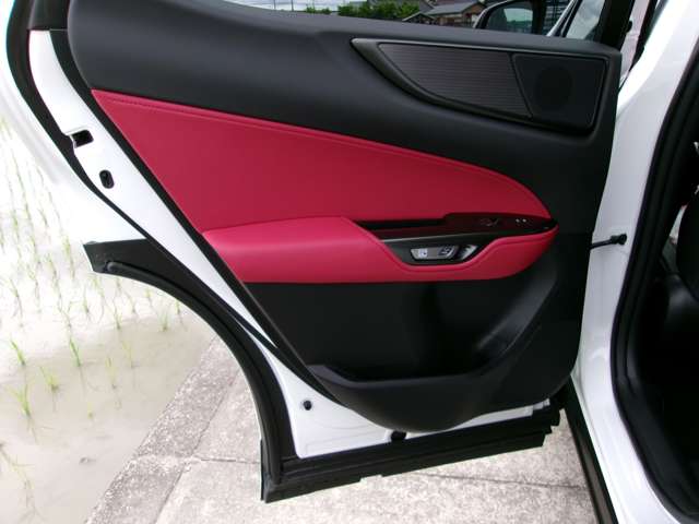 レクサス ＮＸ３５０ｈ Ｆスポーツ R6年 (近畿) 99