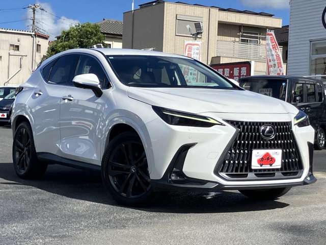 レクサス ＮＸ３５０ｈ バージョンＬ R4年 (関東) 99