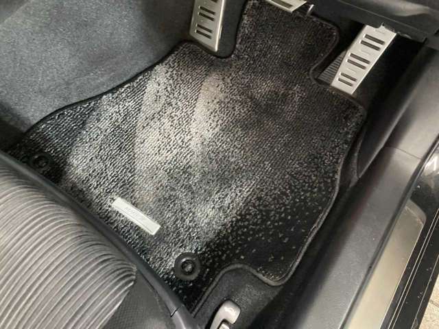 トヨタ マークＸ ２．５ ２５０Ｓ ＦＯＵＲ ４ＷＤ R1年 (北海道) 99