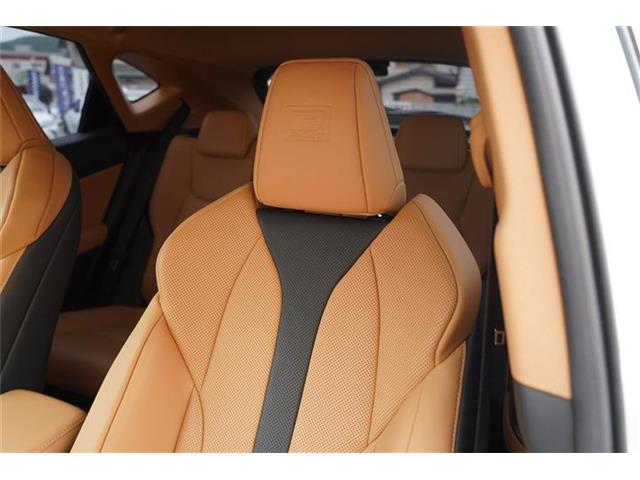 レクサス ＮＸ３５０ｈ Ｆスポーツ R7年 (中国) 99