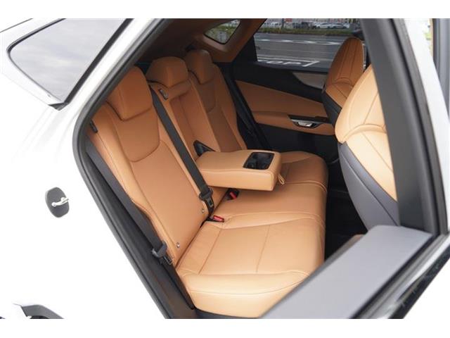 レクサス ＮＸ３５０ｈ Ｆスポーツ R7年 (中国) 99
