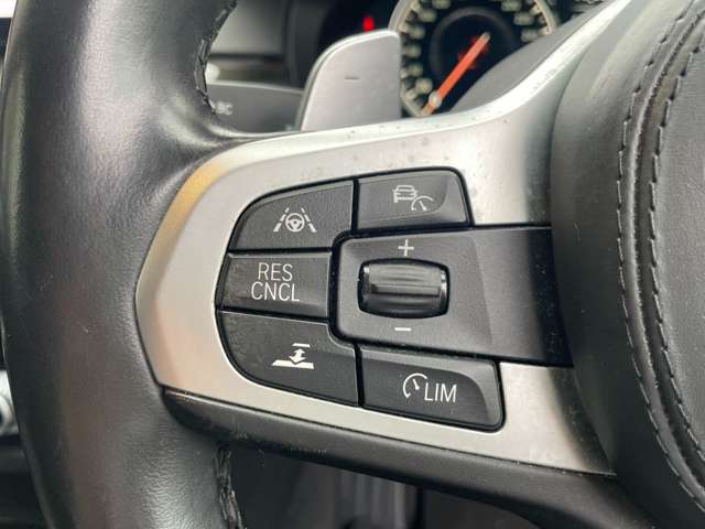 ＢＭＷ ５シリーズ ５２３ｉ　Ｍスポーツ H29年 (関東) 99
