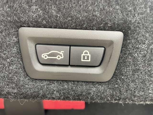 ＢＭＷ ５シリーズ ５２３ｉ　Ｍスポーツ H29年 (関東) 99