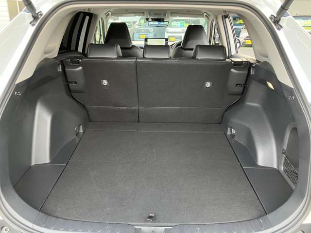トヨタ ＲＡＶ４ ２．５ ハイブリッド Ｇ Ｅ－ＦＯＵＲ ４ＷＤ R5年 (関東) 99