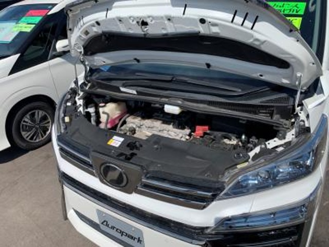 トヨタ ヴェルファイア ２．５ Ｚ R1年 (甲信越・北陸) 99