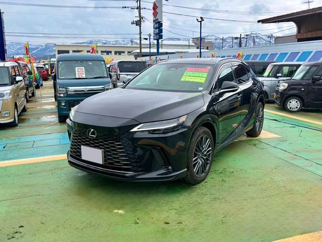 レクサス ＲＸ４５０ｈ＋ ４５０Ｈプラス バージョンＬ ４ＷＤ R6年 (甲信越・北陸) 99
