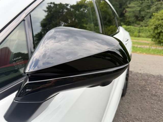 レクサス ＲＸ５００ｈ ５００Ｈ Ｆスポーツ パフォーマンス ４ＷＤ R5年 (近畿) 99