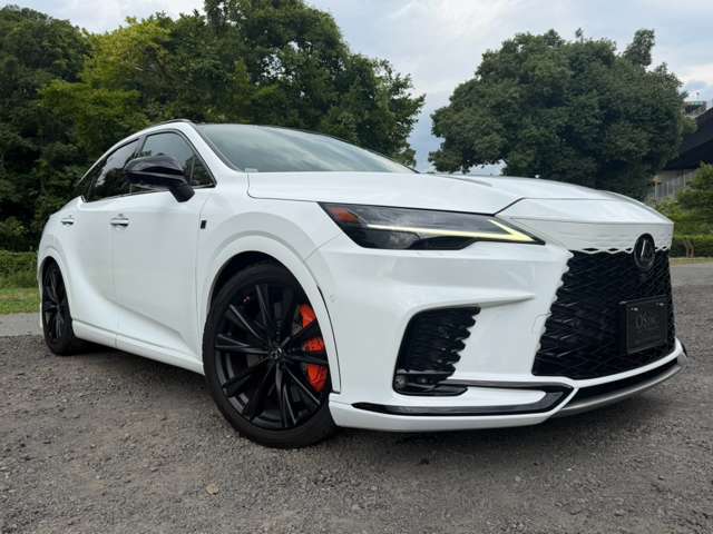 レクサス ＲＸ５００ｈ ５００Ｈ Ｆスポーツ パフォーマンス ４ＷＤ R5年 (近畿) 99