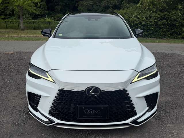 レクサス ＲＸ５００ｈ ５００Ｈ Ｆスポーツ パフォーマンス ４ＷＤ R5年 (近畿) 99