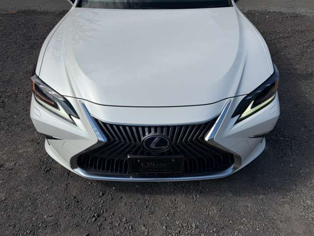 レクサス ＥＳ３００ｈ バージョンＬ R3年 (近畿) 99