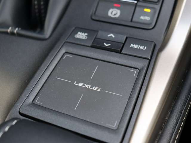 レクサス ＮＸ３００ Ｆスポーツ H29年 (関東) 99