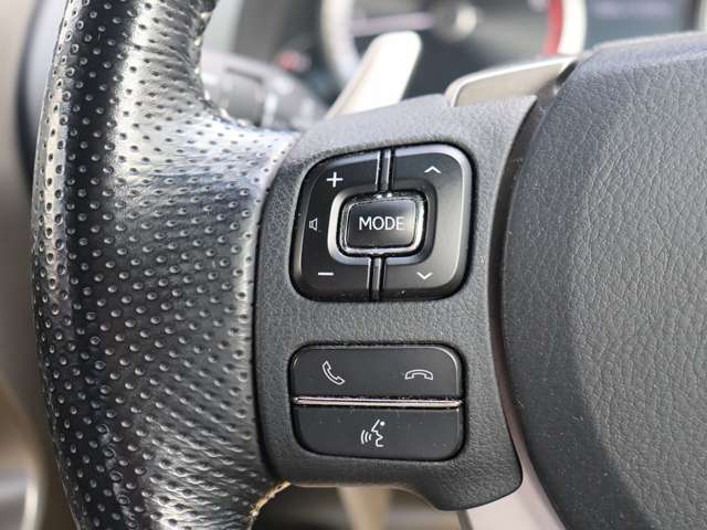 レクサス ＮＸ３００ Ｆスポーツ H29年 (関東) 99