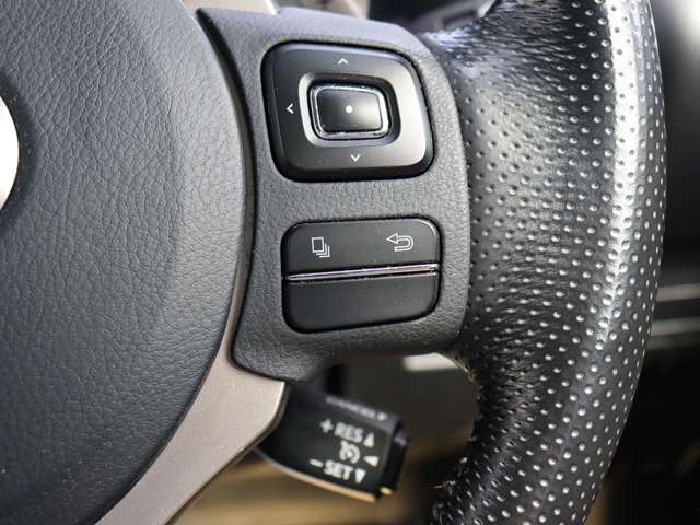 レクサス ＮＸ３００ Ｆスポーツ H29年 (関東) 99