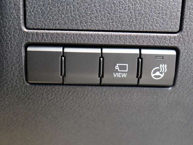 レクサス ＮＸ３００ Ｆスポーツ H29年 (関東) 99