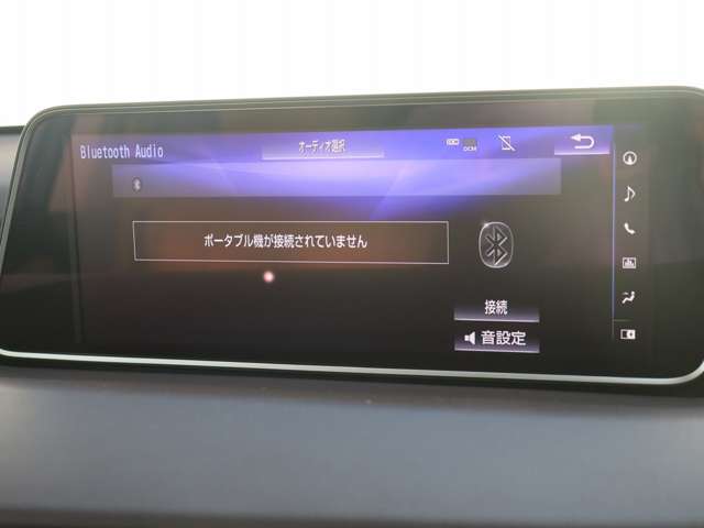 レクサス ＲＸ２００ｔ ２００Ｔ H28年 (関東) 99