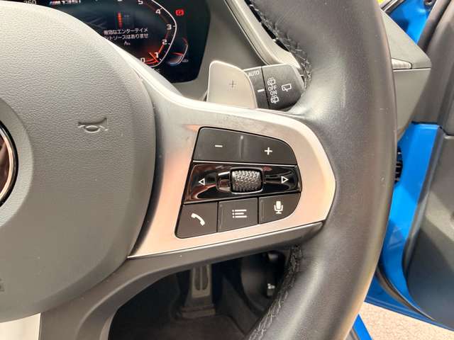 ＢＭＷ １シリーズ Ｍ１３５Ｉ Ｘドライブ ４ＷＤ R6年 (東海) 99