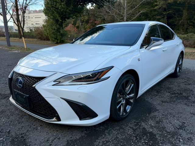 レクサス ＥＳ３００ｈ Ｆスポーツ R1年 (近畿) 99