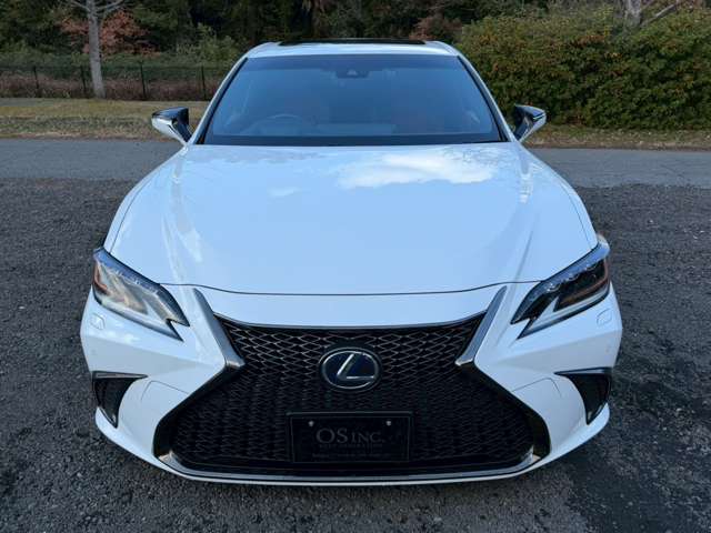 レクサス ＥＳ３００ｈ Ｆスポーツ R1年 (近畿) 99